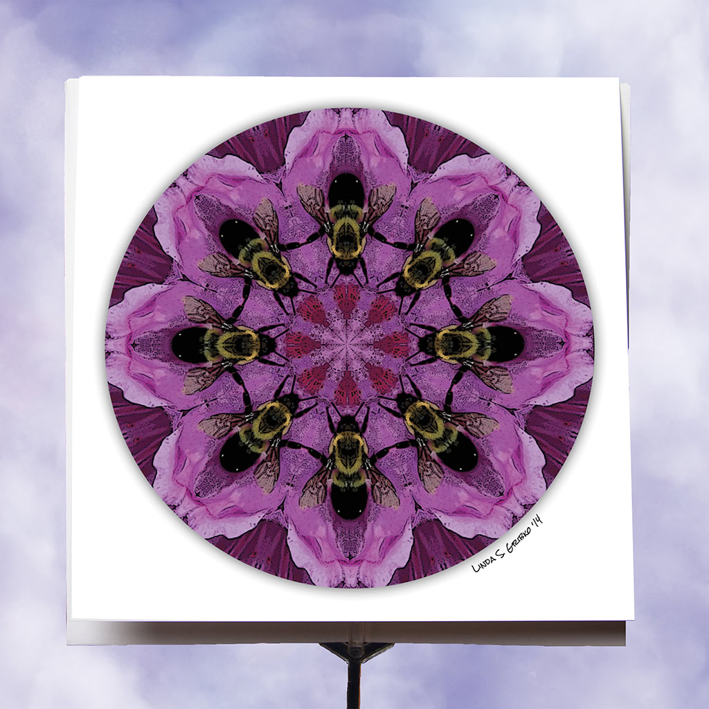 Butterfly host plant art card features a mandala of pipevine leaves and repeating pairs of pipevine swallowtail caterpillars.