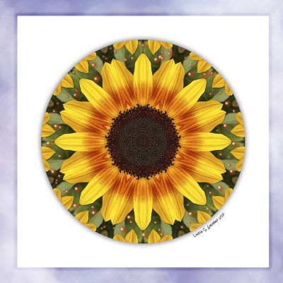 Nature Mandala Fine Art Print Collection: WV Botanic Garden